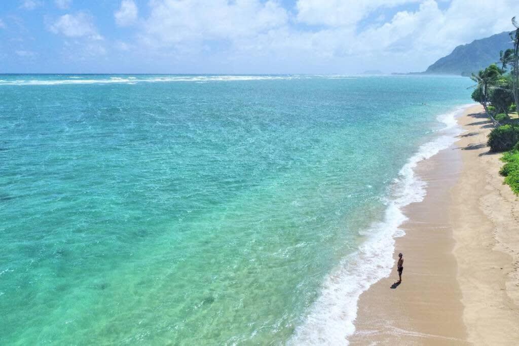 Luxury Beachfront Condo Hau'ula Εξωτερικό φωτογραφία
