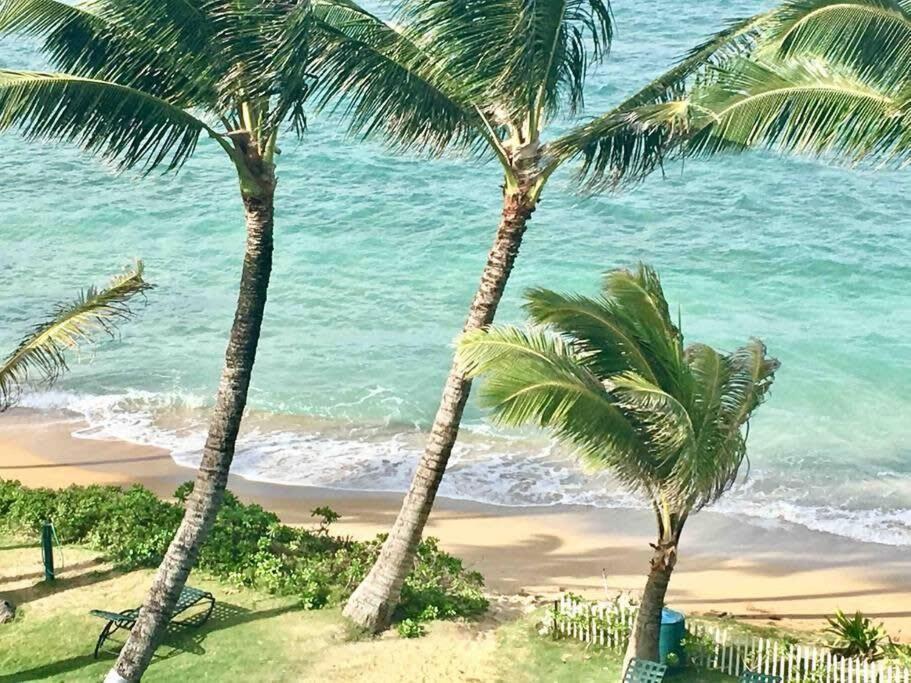 Luxury Beachfront Condo Hau'ula Εξωτερικό φωτογραφία